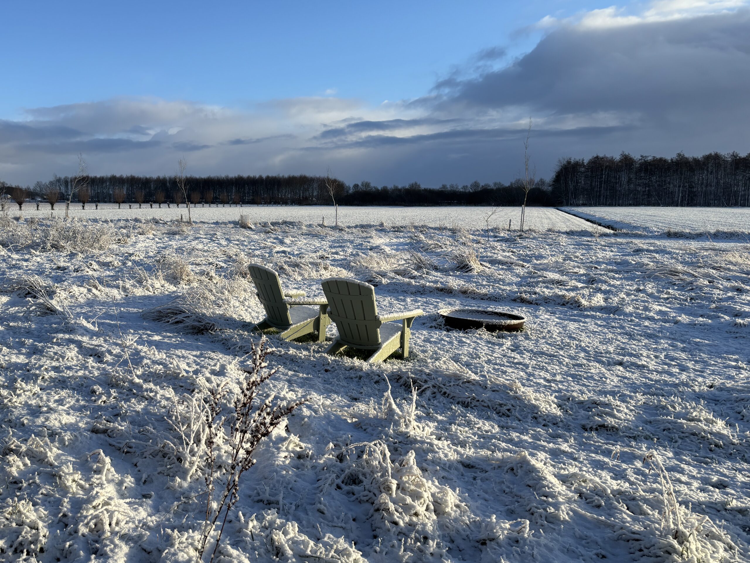 Weids weiland in de omgeving van IJsselgoud bij Zwolle